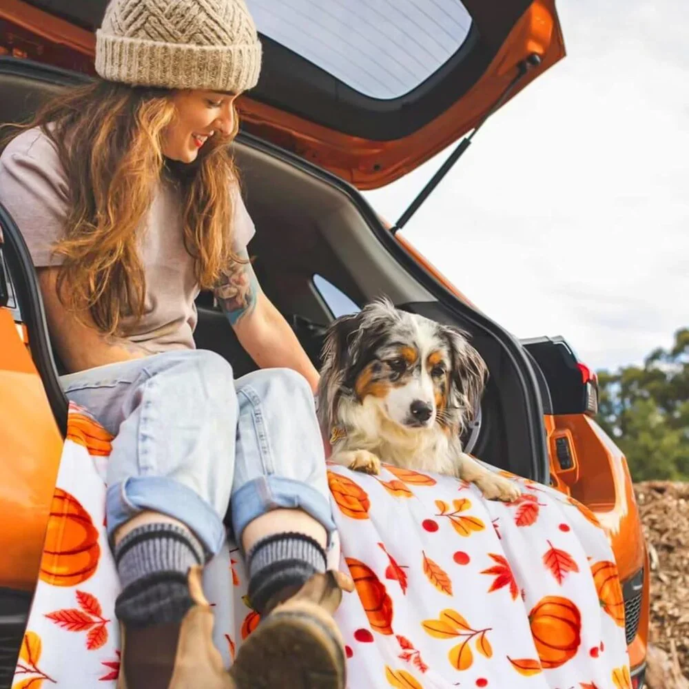 Fall Throw Blanket - Halloween Pumpkin Plush, Fuzzy Orange‎ Leaf, 50'' x 60